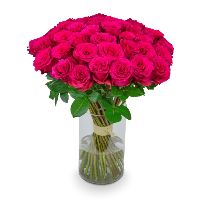 Bouquet of pink roses
